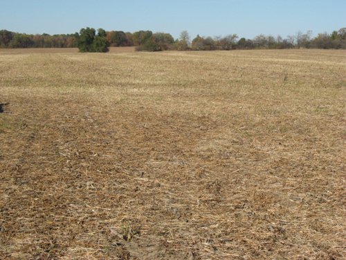 Property photo 48 - 110+/- Acres offered in 4 Tillable Tracts